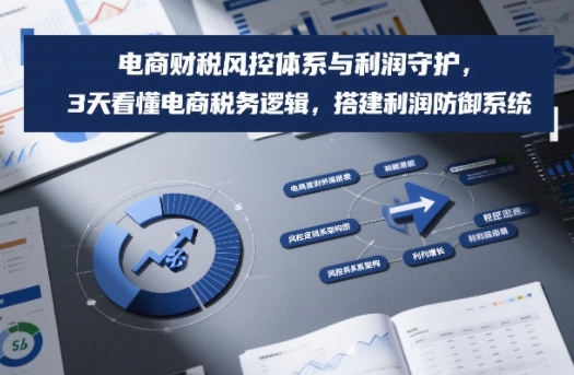 电商财税风控体系与利润守护，3天看懂电商税务逻辑，搭建利润防御系统-办公驿站