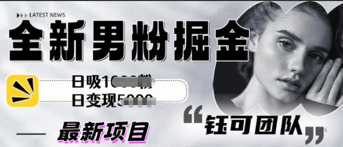 全新男粉掘金思路日吸粉100+日变现1k+-办公驿站