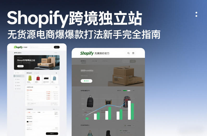 Shopify跨境独立站无货源电商爆款打法新手完全指南-办公驿站