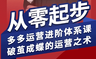 拼多多运营进阶系统课，从零起步，多多运营进阶体系课，破茧成蝶的运营之术（更新26年4月）-办公驿站