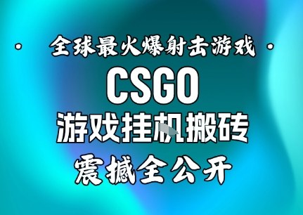 【年底大揭秘】基于全球最火爆的射击CSGO游戏挂G搬砖，日入5张+，震撼公开-办公驿站