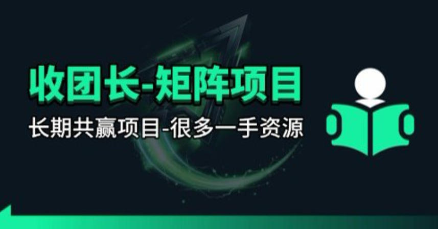 【团长合作】视频矩阵项目_招发手矩阵+剪辑师，共赢项目【揭秘】-办公驿站