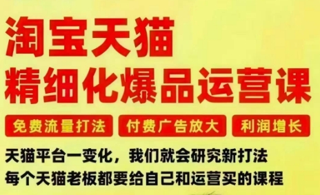 淘宝天猫精细化爆品运营课，免费流量打法-付费广告放大-利润增长-三大核心痛点，一次全部解决-办公驿站