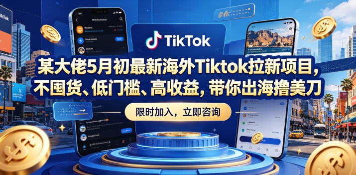 某大佬5月初最新海外Tiktok拉新项目，不囤货、低门槛、高收益，带你出海撸美刀-办公驿站