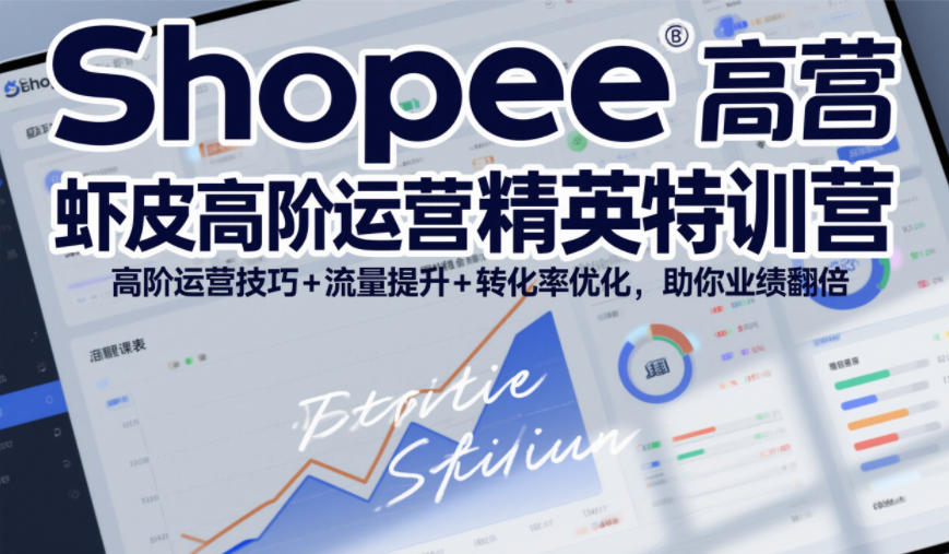 Shopee虾皮高阶运营精英特训营，高阶运营技巧+流量提升+转化率优化，助你业绩翻倍-办公驿站