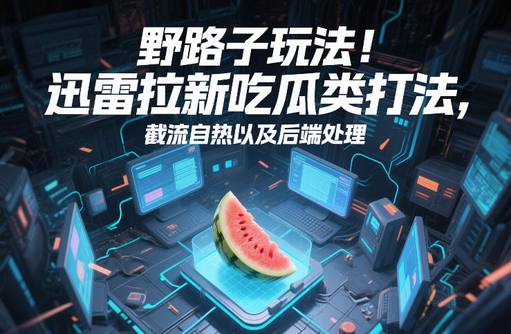 野路子玩法！迅雷拉新吃瓜类打法，截流自热以及后端处理-办公驿站