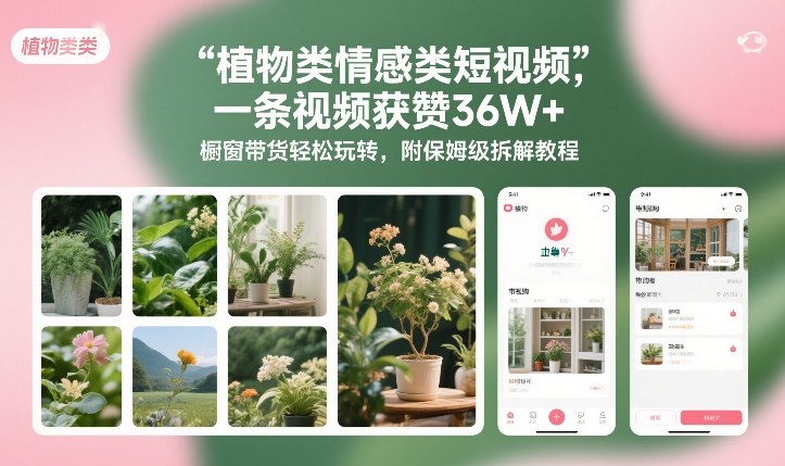 植物类情感类短视频，一条视频获赞36W+，橱窗带货轻松玩转，附保姆级拆解教程-办公驿站