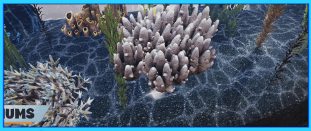 水族店模拟器|官方中文|支持手柄|Aquatic Store Simulator|水生商店模拟器-办公驿站