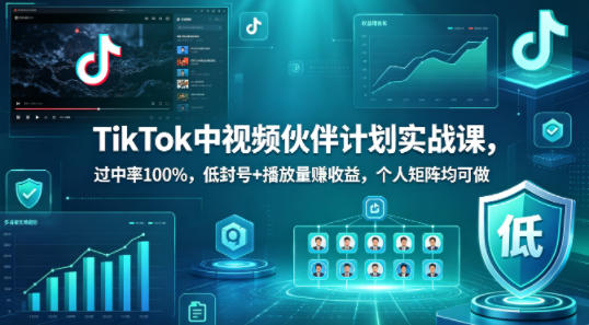TikTok中视频伙伴计划实战课，过中率100%，低封号+播放量賺收益，个人矩阵均可做-办公驿站