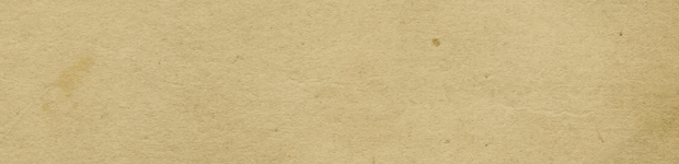 北境之地|全DLC|官方中文|Northgard：Hræsvelg Clan of the Eagle/北加尔/进化之地/北方花园/白鼬部落-办公驿站