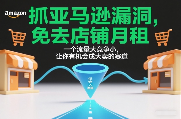 抓亚马逊漏洞，免去店铺月租，一个流量大竞争小，让你有机会成大卖的赛道-办公驿站