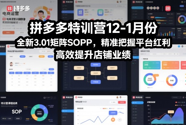 拼多多特训营12-1月份，全新3.01矩阵Sop，精准把握平台红利，高效提升店铺业绩-办公驿站