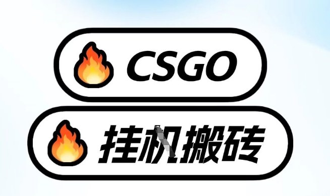 真全网独家CSGO挂G，最新玩法,单日捡漏1K+，不用电脑，不用打游戏【揭秘】-办公驿站