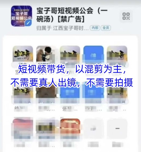 宝子哥头部团队短视频带货，以混剪为主，不需要真人出镜，不需要拍摄【更新11月】-办公驿站